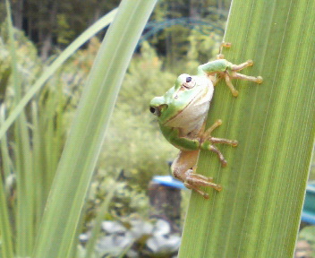 201107071331000.jpg