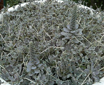 201109170853000.jpg