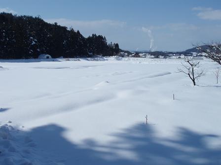 雪景色