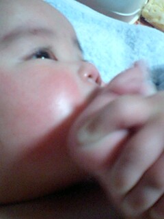 080329_1935~0001.jpg