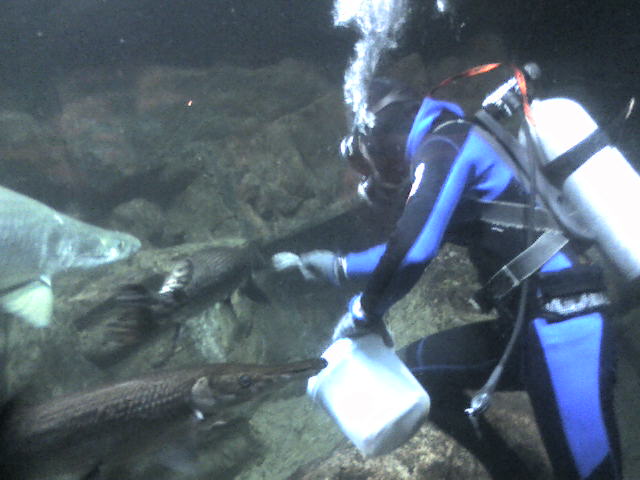 20061001_257541.jpg