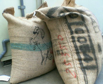 200904241041000.jpg