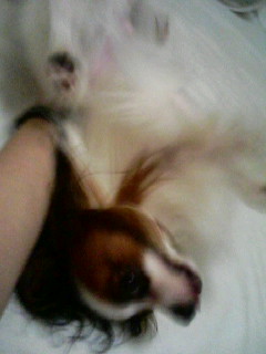 20060809_203531.JPG