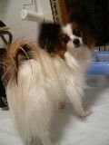 20070204_288769.JPG