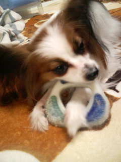 20070323_309819.JPG