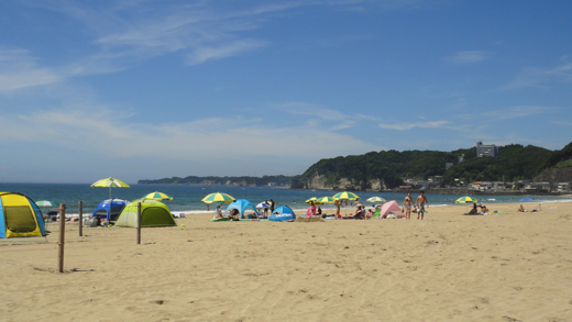 DSC00666.jpg