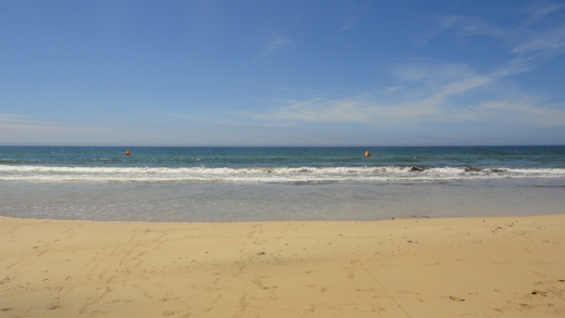 DSC00671.jpg