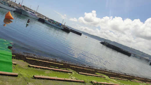 DSC00681.jpg
