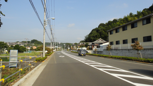 DSC01339.jpg
