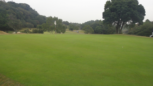 DSC02010.jpg