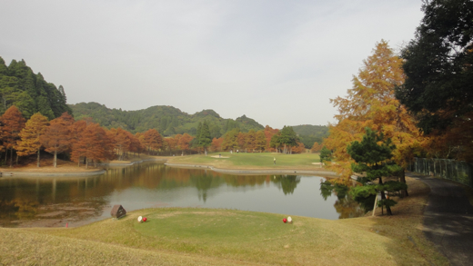 DSC02018.jpg