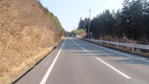 P2051705.jpg