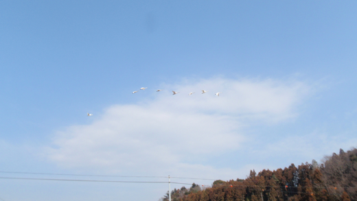 P2051711.jpg