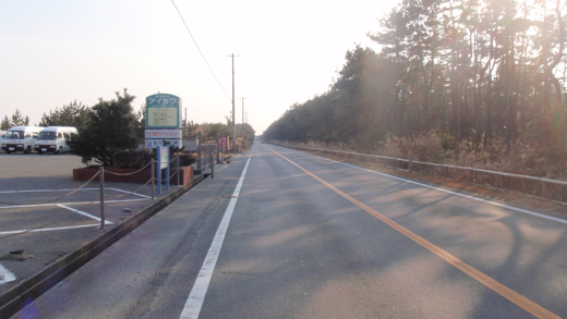 P2051734.jpg