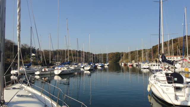 DSC04218.jpg