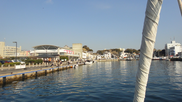 DSC04234.jpg