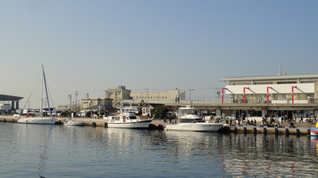 DSC04253.jpg