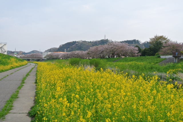 DSC_0156.jpg