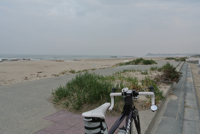 DSC_0166.jpg