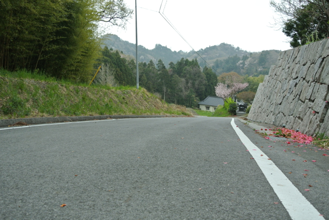 DSC_0175.jpg