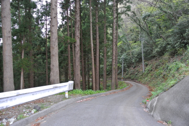 DSC_0176.jpg