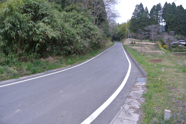 DSC_0177.jpg