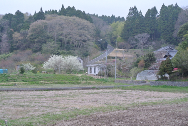 DSC_0178.jpg