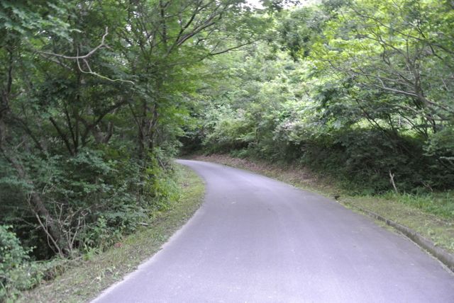 DSC_0410.jpg