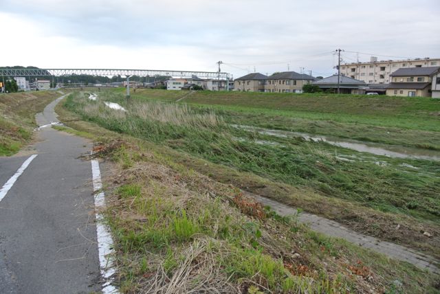 DSC_0412.jpg