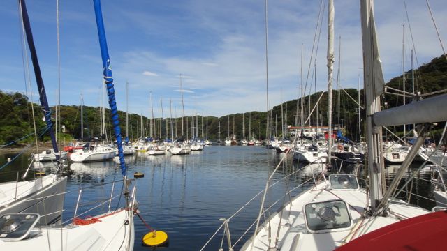 DSC04826.jpg