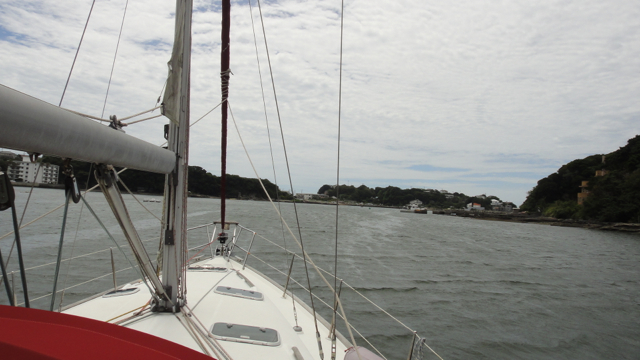 DSC04900.jpg