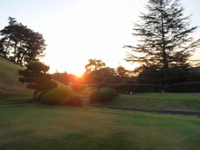 P8255256.jpg