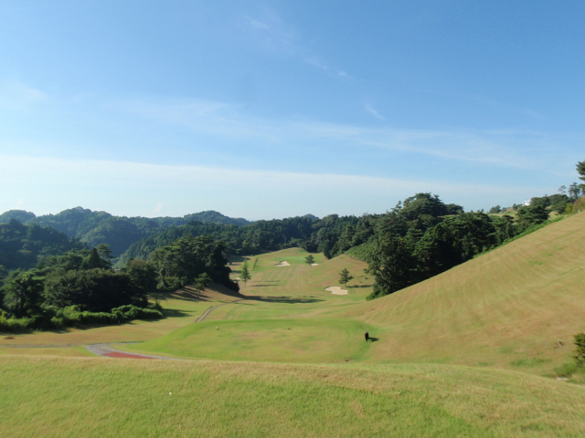 P8255261.jpg