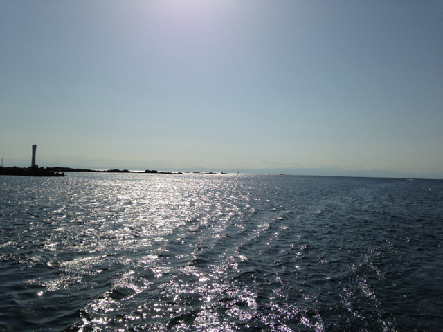 IMG_2095.jpg