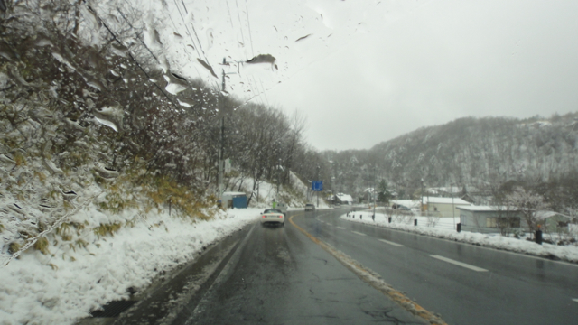 DSC05382.jpg