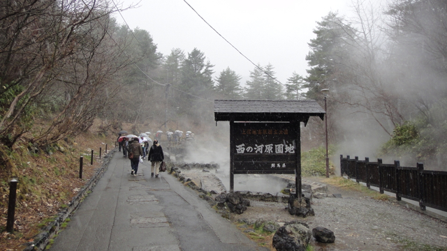 DSC05349.jpg