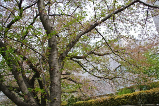 DSC_0001.jpg