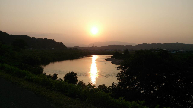 230.jpg