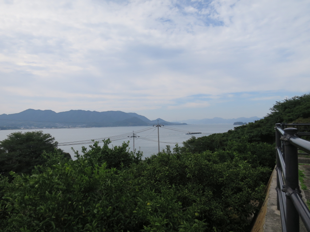 IMG_0859.jpg