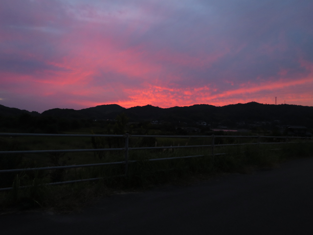 IMG_0951.jpg