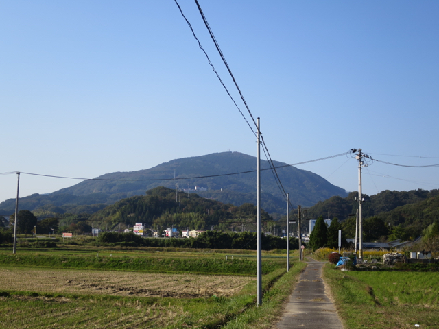 IMG_1227.jpg