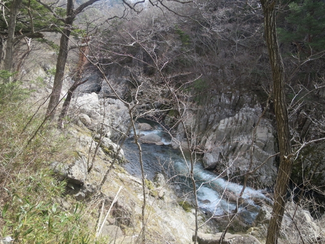 IMG_0072.jpg