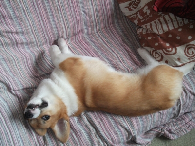 Hagu your funny!