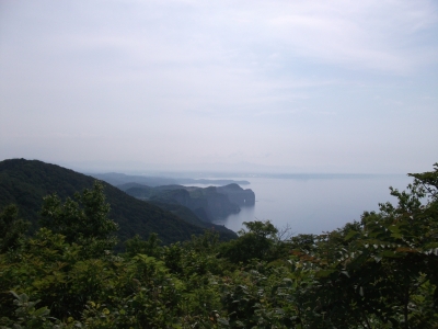 view4