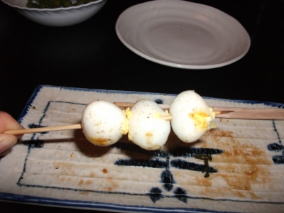bird eggs