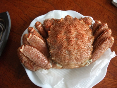 |Crab. Kani!