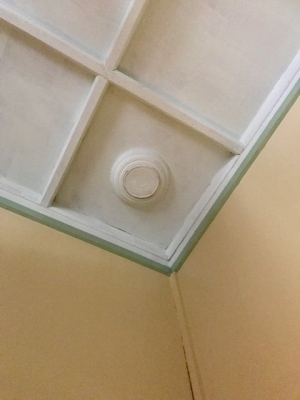 image1.JPG