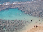 hawaii4