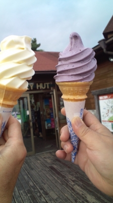 清泉寮のソフトクリーム