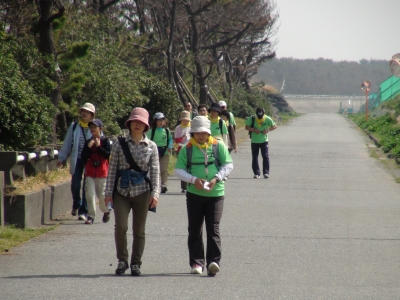 田子の浦近く